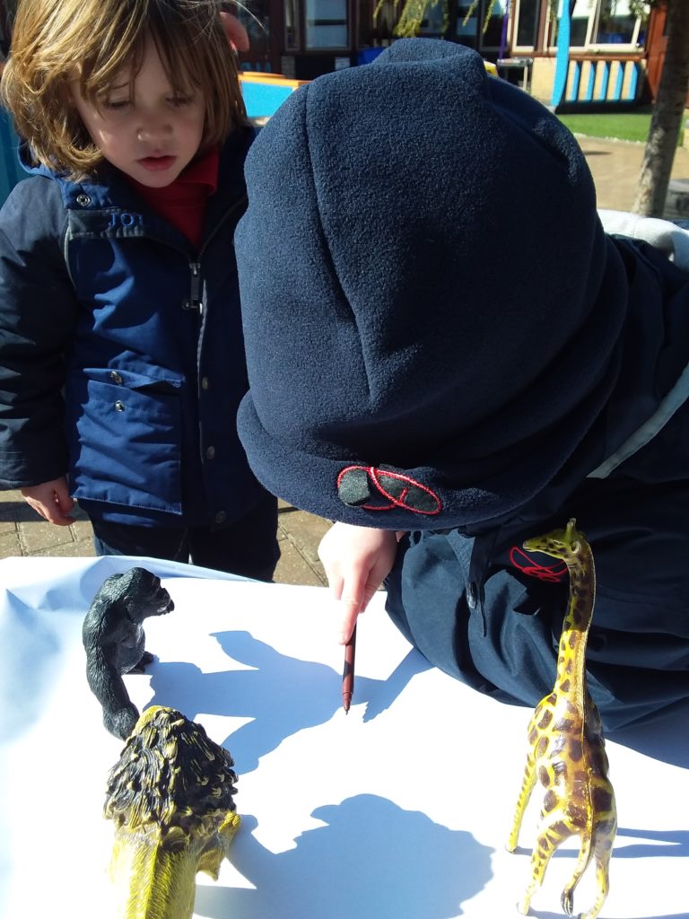 Shadow Drawing, Copthill School