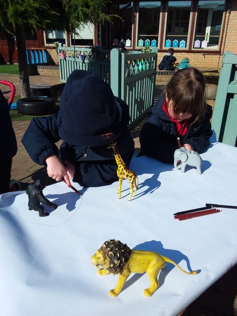 Shadow Drawing, Copthill School