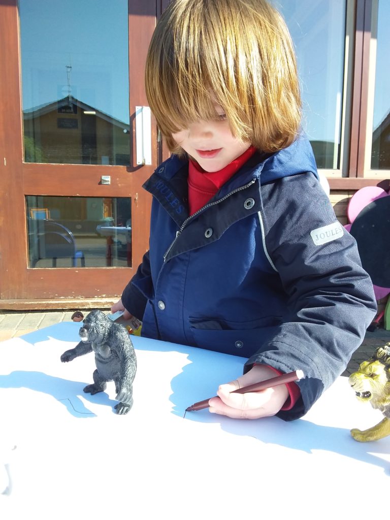 Shadow Drawing, Copthill School