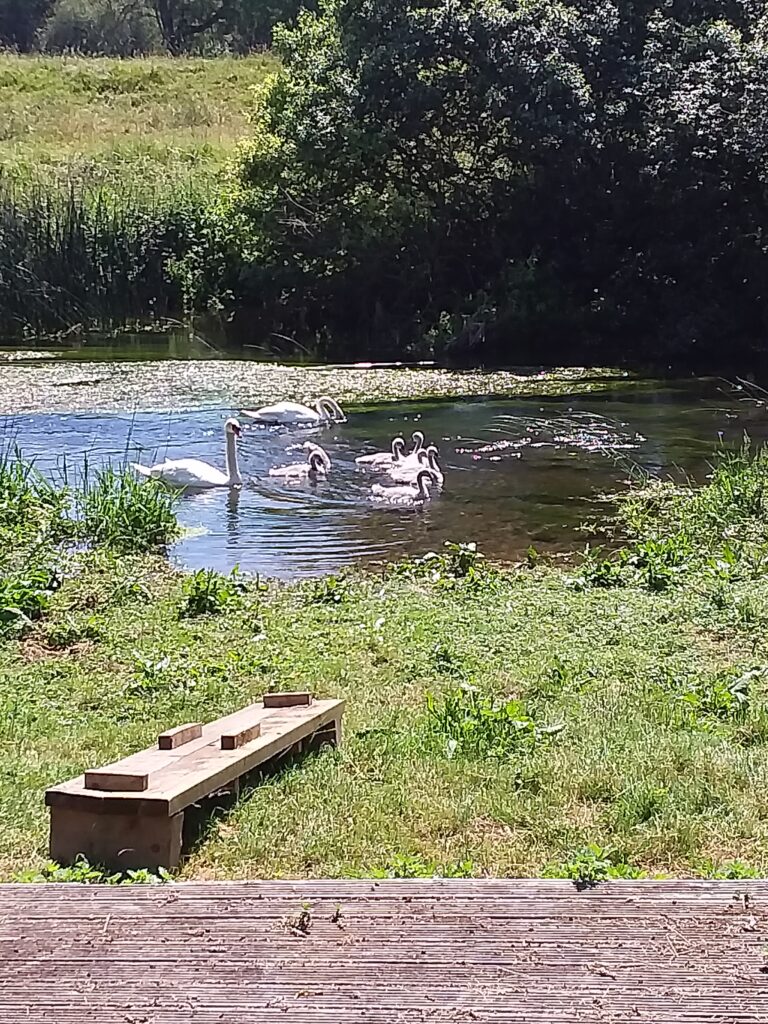 Down at the river!, Copthill School