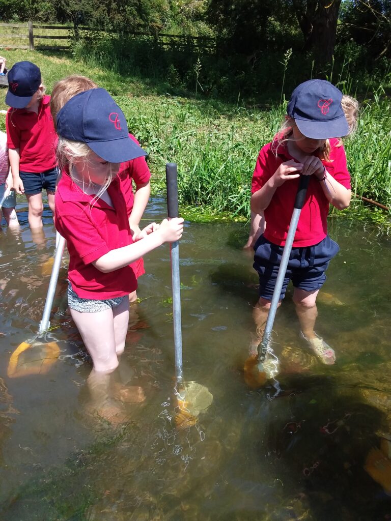 Down at the river!, Copthill School