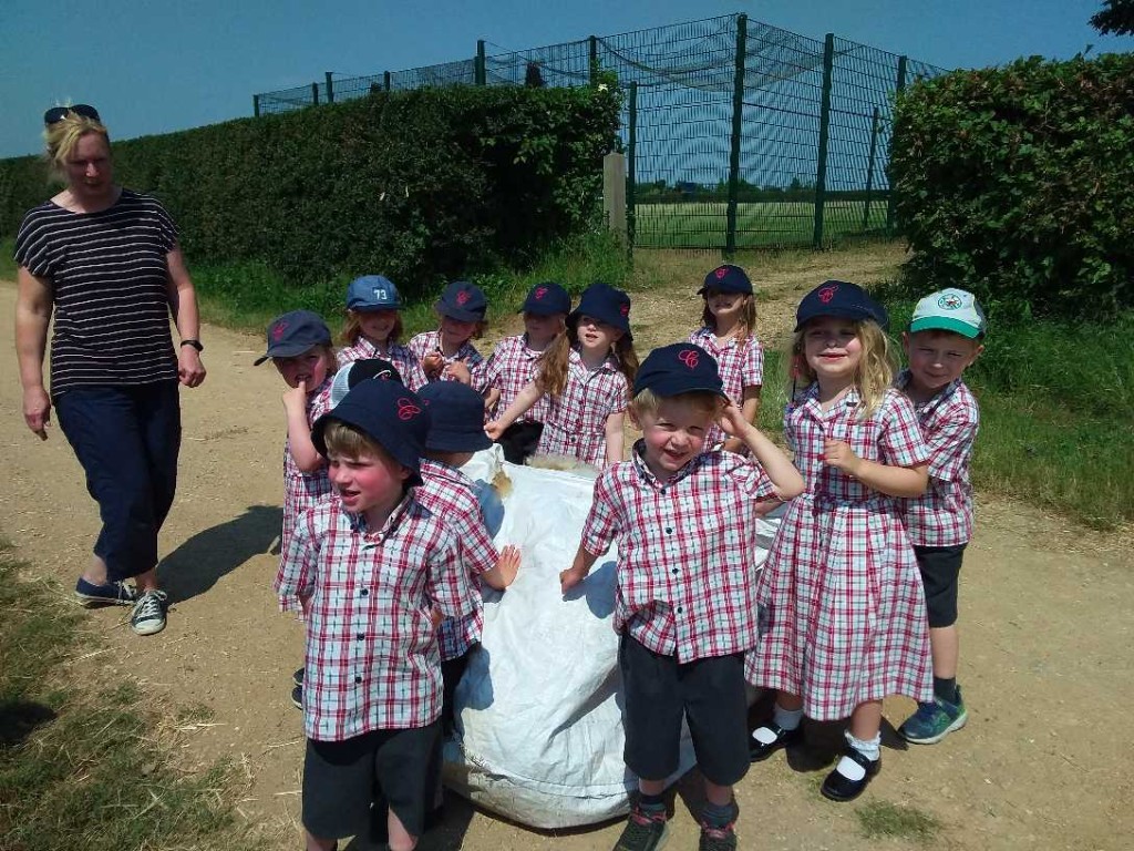 Sheep Shearing, Copthill School