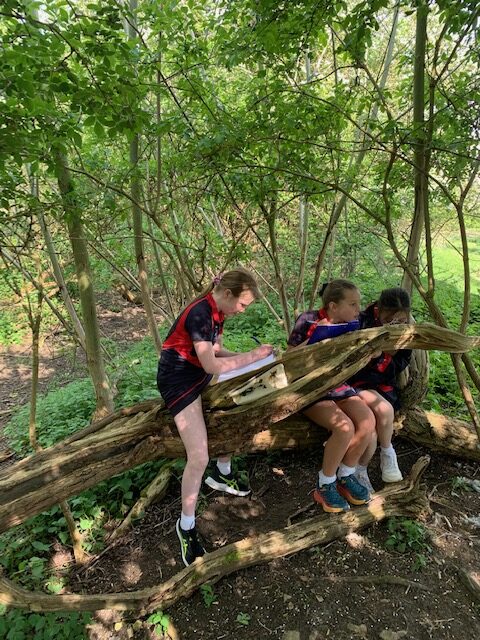 Y6 nature poetry, Copthill School