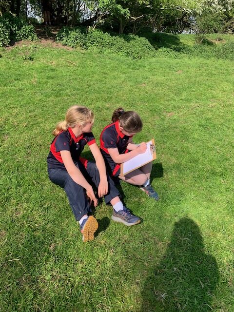 Y6 nature poetry, Copthill School