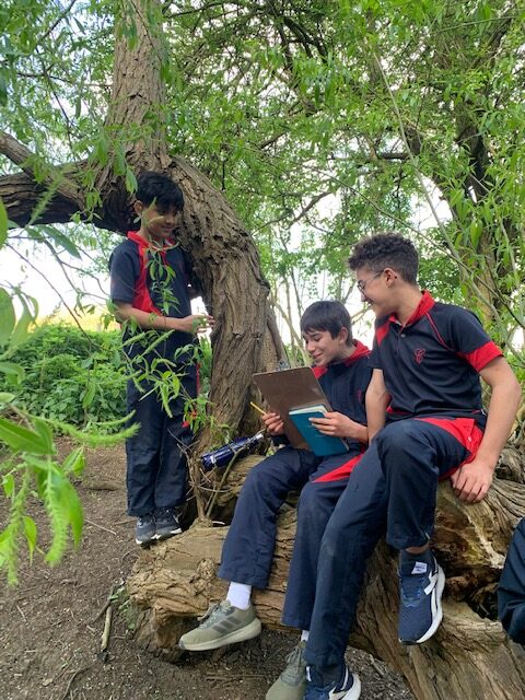 Y6 nature poetry, Copthill School