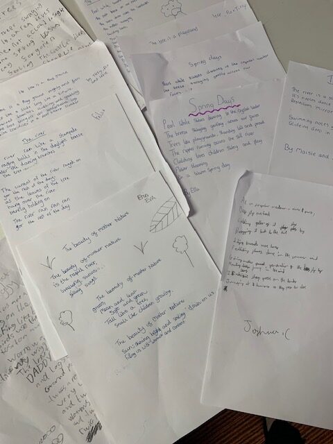 Y6 nature poetry, Copthill School