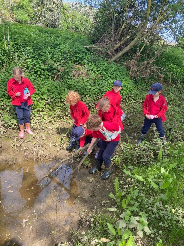 From the darkest Peru&#8230;, Copthill School