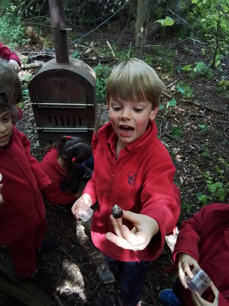 Knots and Minibeast Hunting in the Forest!, Copthill School