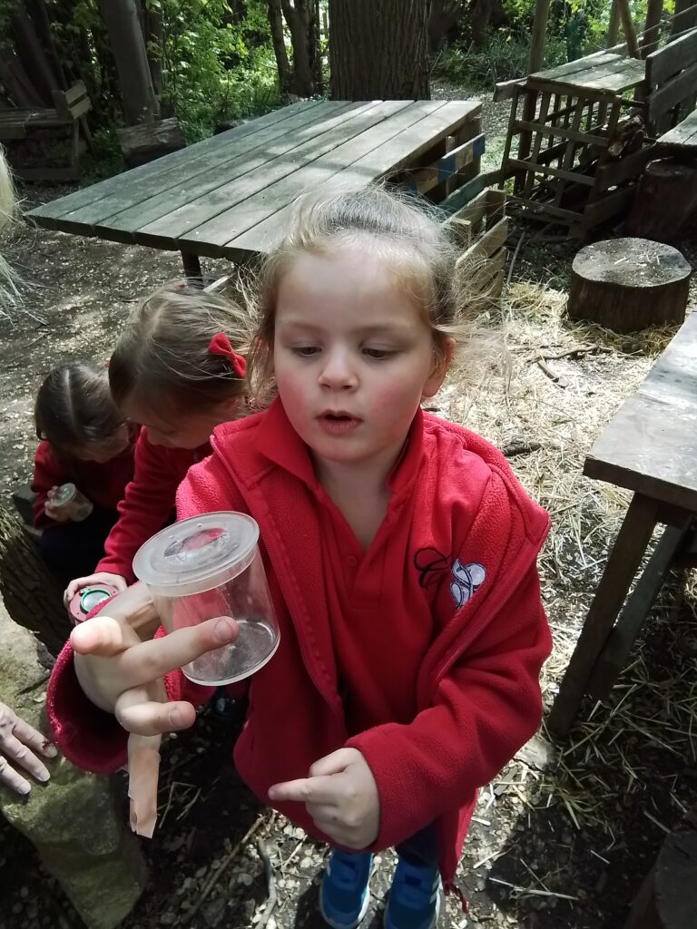 Knots and Minibeast Hunting in the Forest!, Copthill School