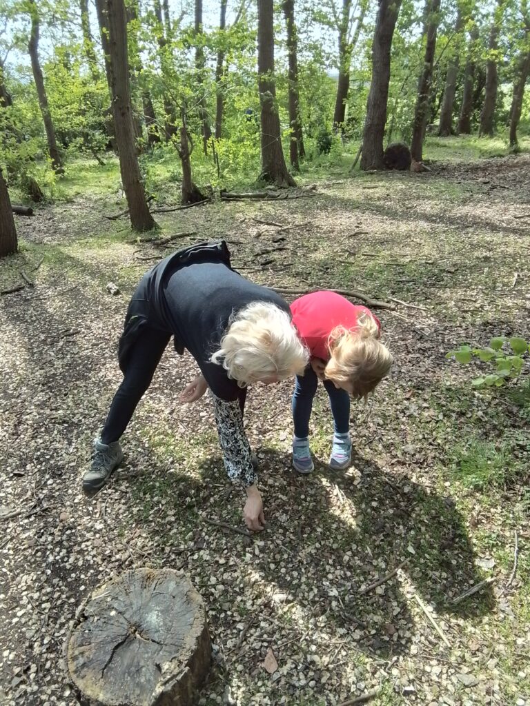 Knots and Minibeast Hunting in the Forest!, Copthill School