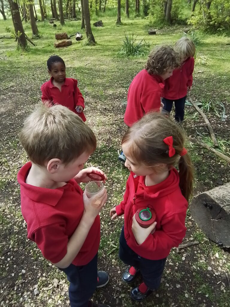 Knots and Minibeast Hunting in the Forest!, Copthill School