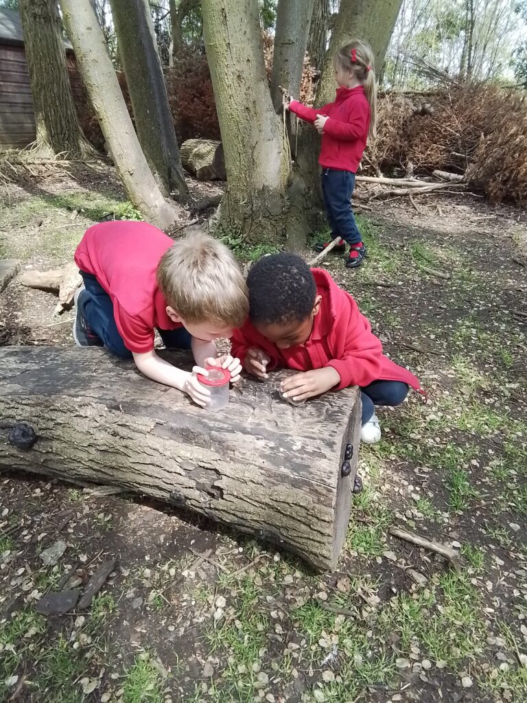 Knots and Minibeast Hunting in the Forest!, Copthill School