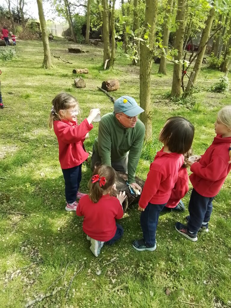 Knots and Minibeast Hunting in the Forest!, Copthill School