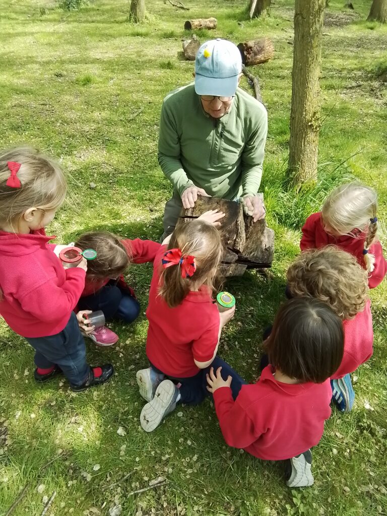 Knots and Minibeast Hunting in the Forest!, Copthill School