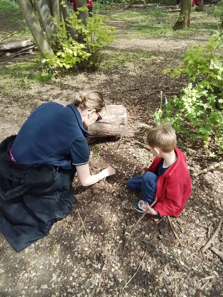 Knots and Minibeast Hunting in the Forest!, Copthill School