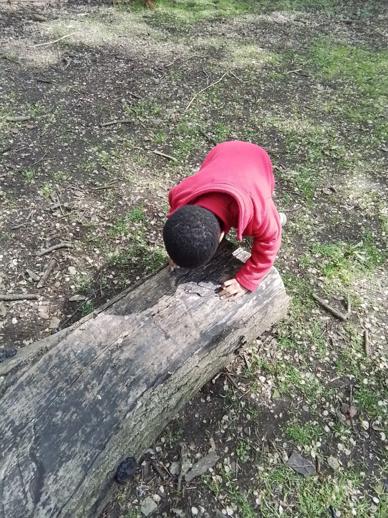 Knots and Minibeast Hunting in the Forest!, Copthill School