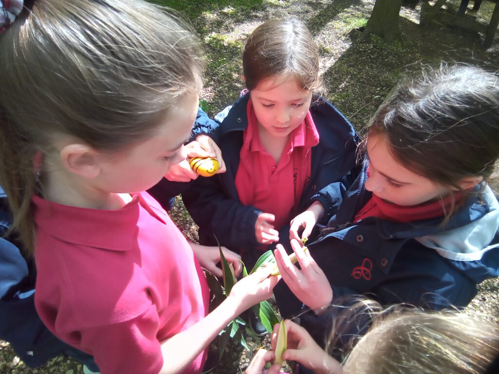 Here comes the sun&#8230;., Copthill School