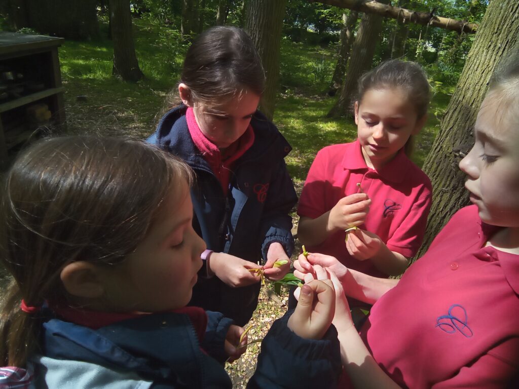 Here comes the sun&#8230;., Copthill School