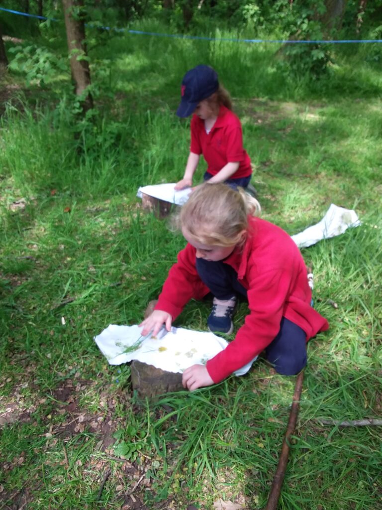 Forest school fun!, Copthill School