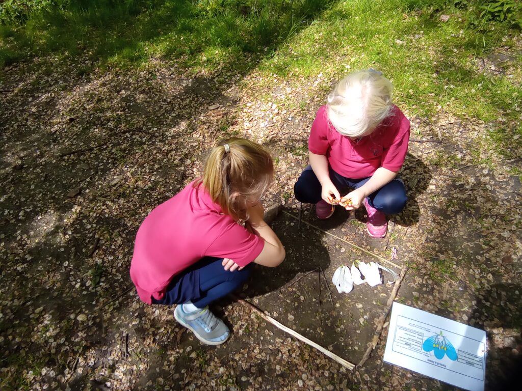 Here comes the sun&#8230;., Copthill School