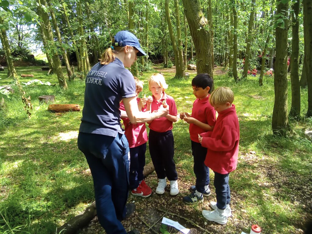 Here comes the sun&#8230;., Copthill School