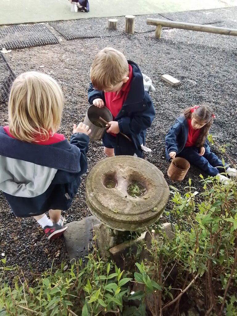 Cinderella in the Forest!, Copthill School