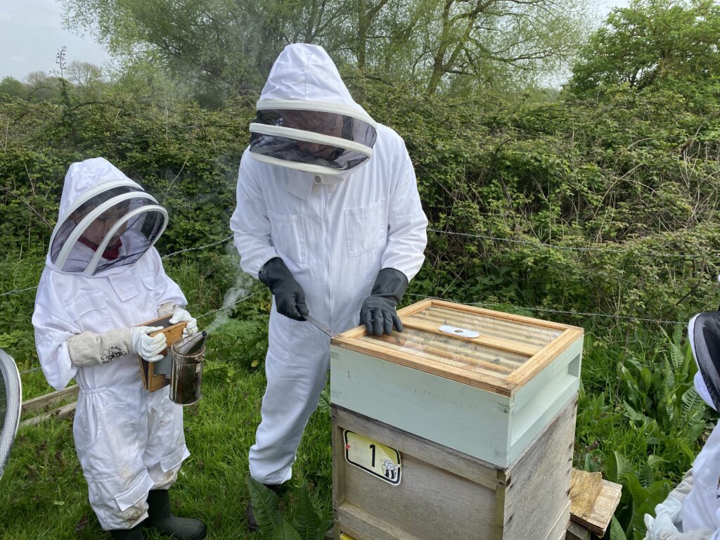 Beekeepers meet the bees!, Copthill School