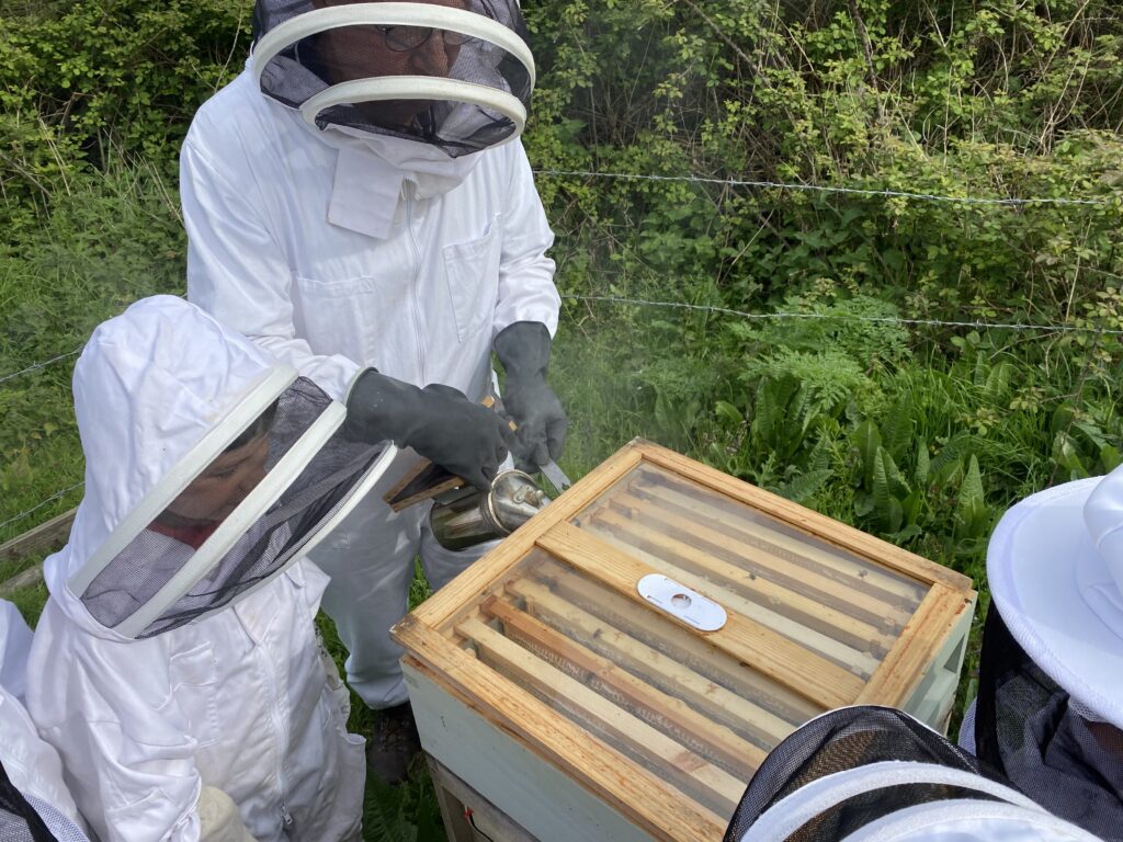 Beekeepers meet the bees!, Copthill School