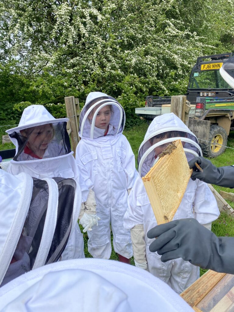 Beekeepers meet the bees!, Copthill School