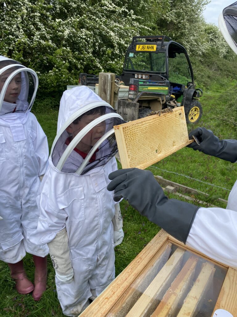 Beekeepers meet the bees!, Copthill School