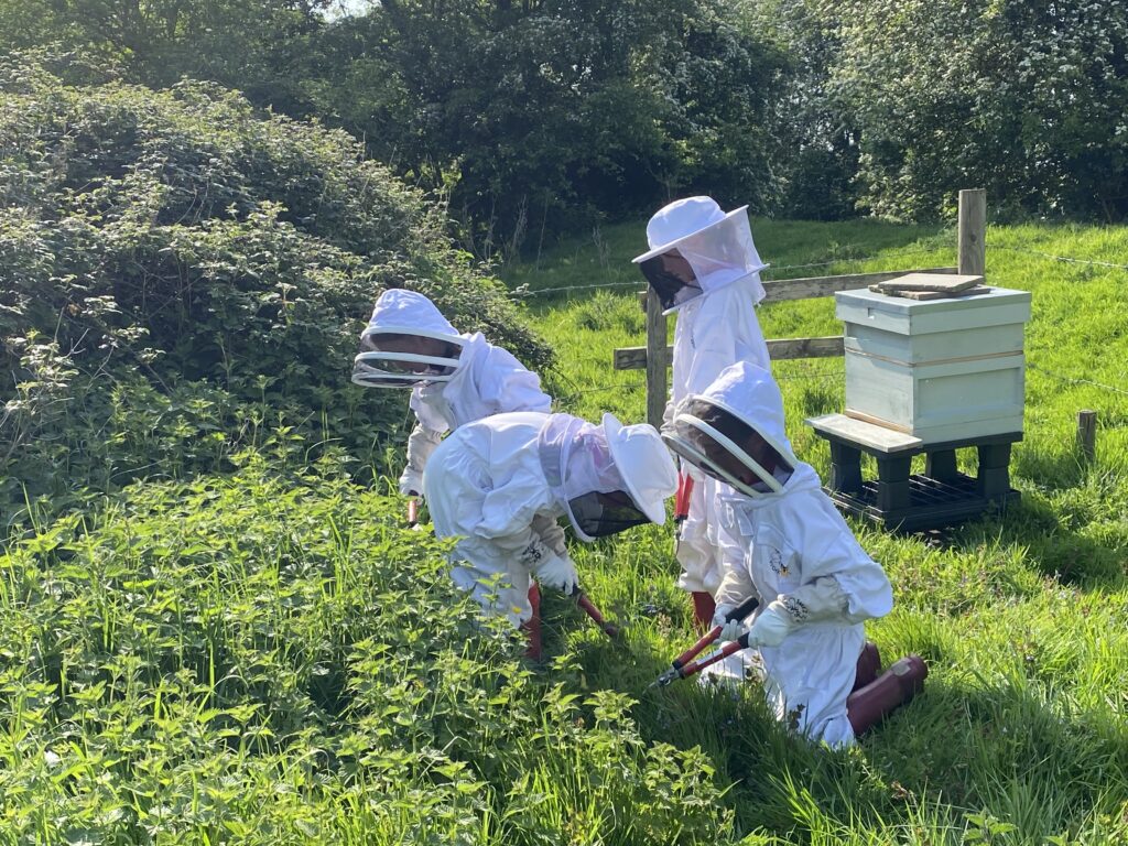 Busy bees!, Copthill School