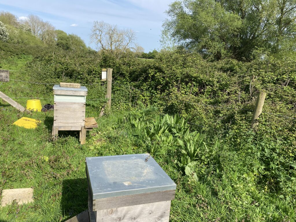 Busy bees!, Copthill School