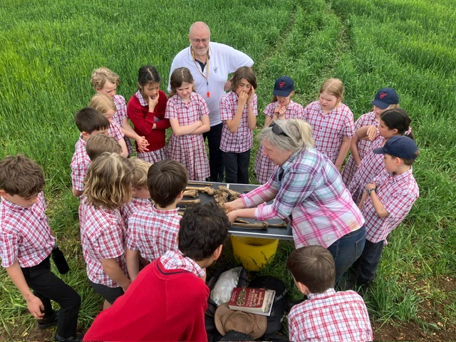 The Copthill Dig, Copthill School