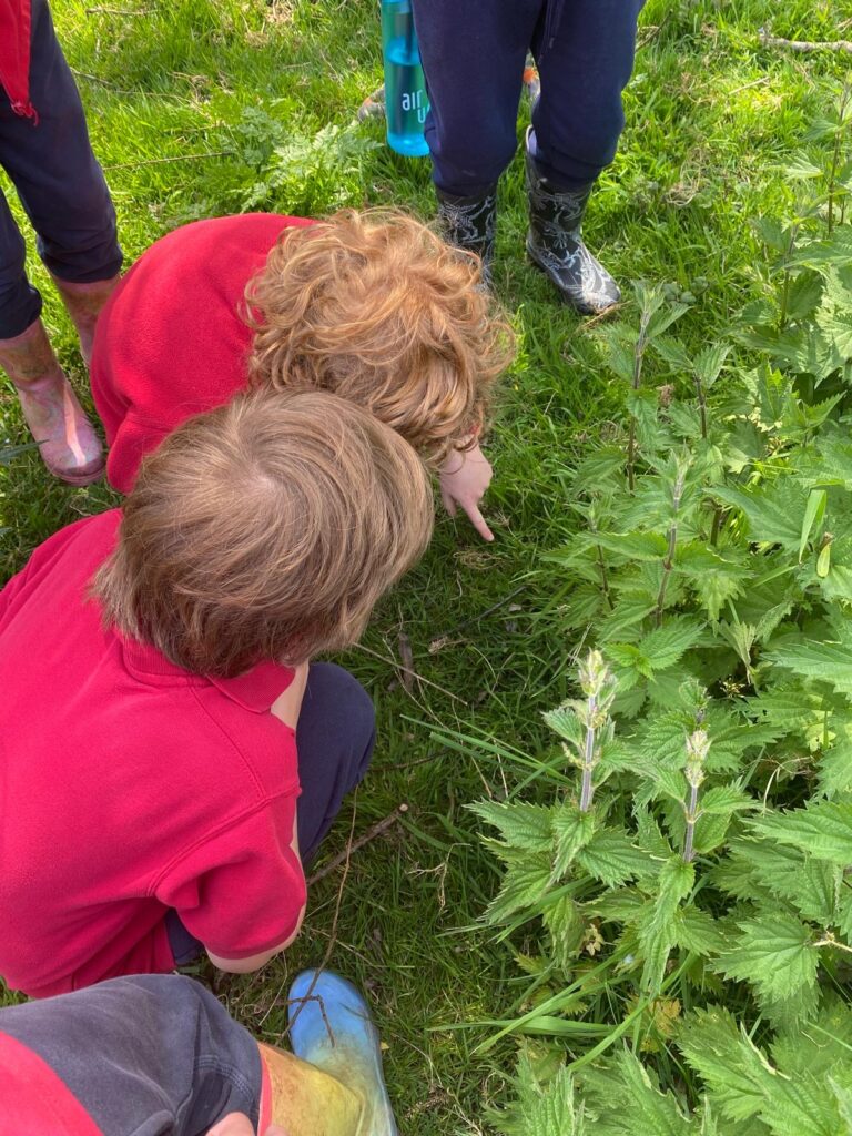 From the darkest Peru&#8230;, Copthill School