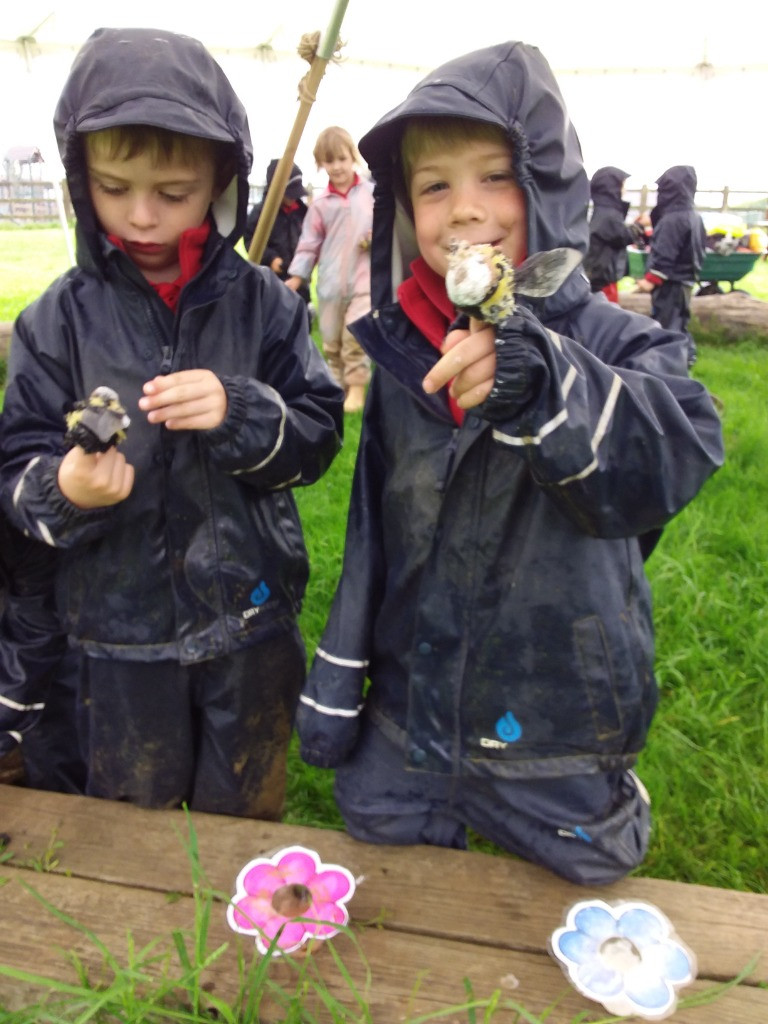 Busy Bees and Oral Hygiene, Copthill School