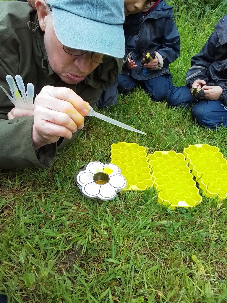 Busy Bees and Oral Hygiene, Copthill School