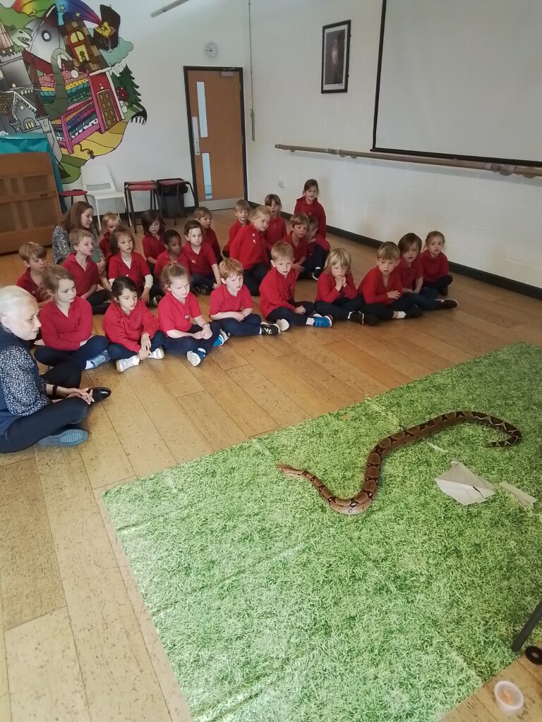 Animals from around the world!, Copthill School