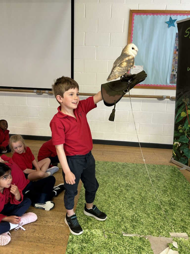 Wild things!, Copthill School