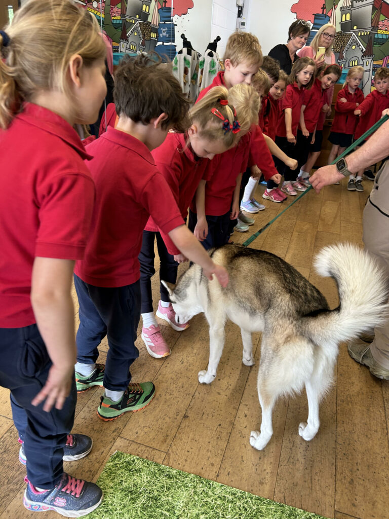 Wild things!, Copthill School