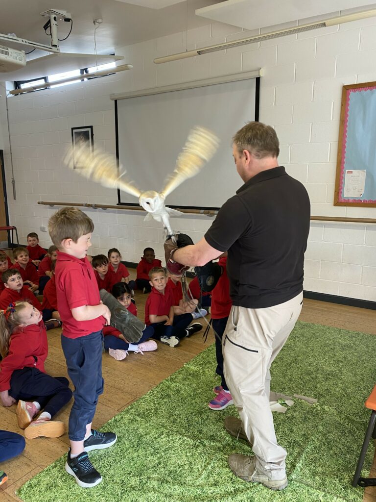 Wild things!, Copthill School