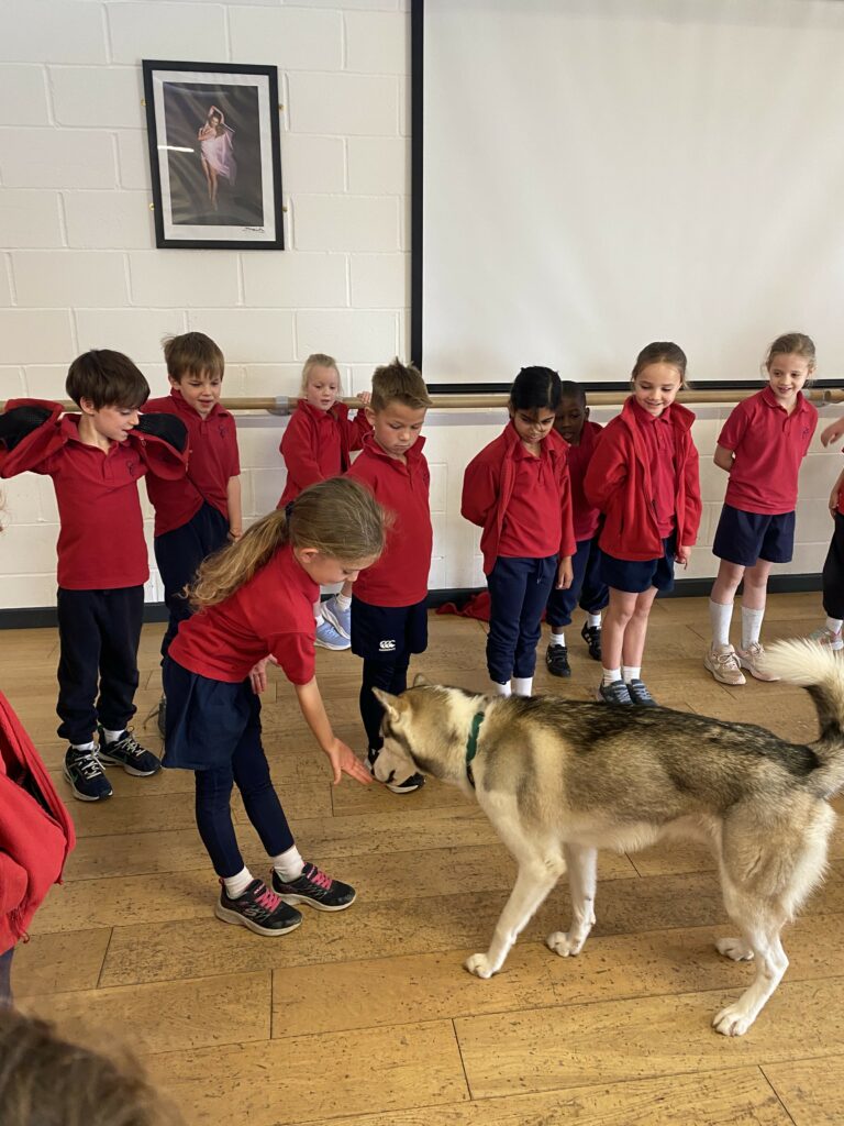 Wild things!, Copthill School