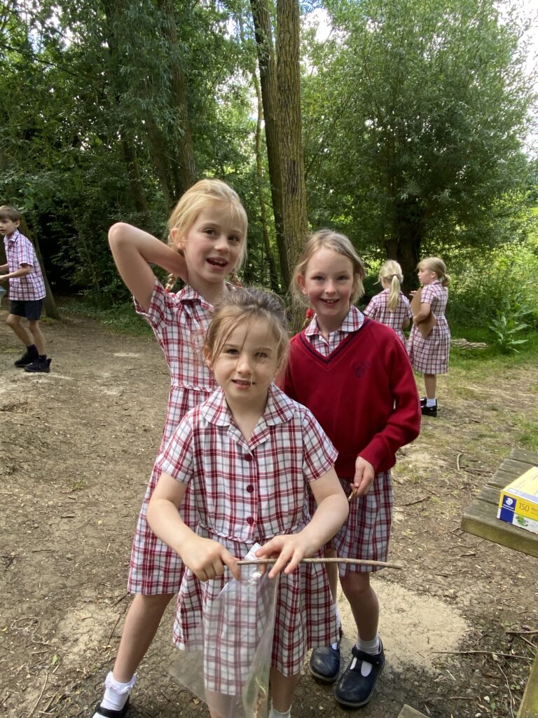Summer has arrived!, Copthill School