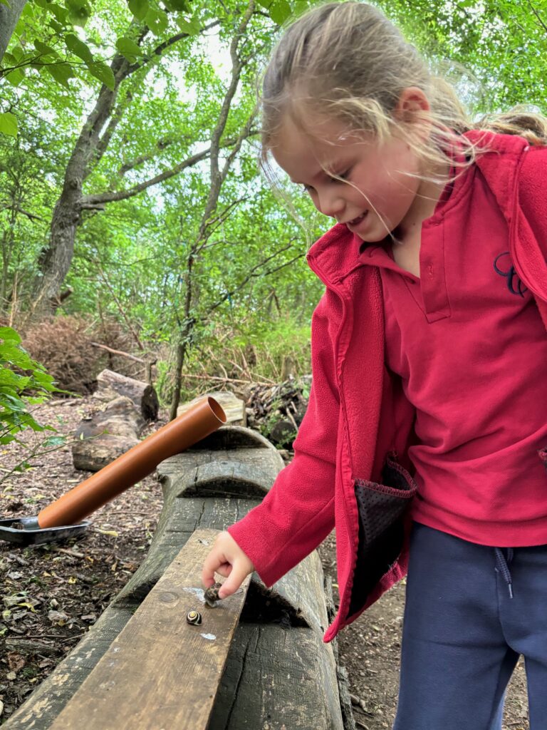 Bog Baby Creations&#8230;, Copthill School