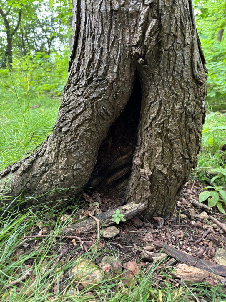 Bog Baby Creations&#8230;, Copthill School