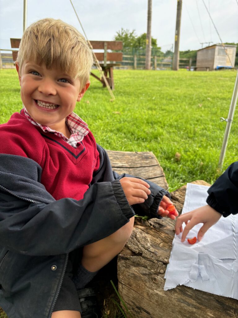 Tomato seeds&#8230;watch this space!, Copthill School