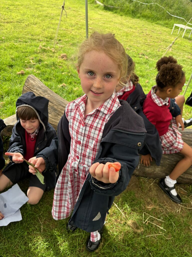 Tomato seeds&#8230;watch this space!, Copthill School