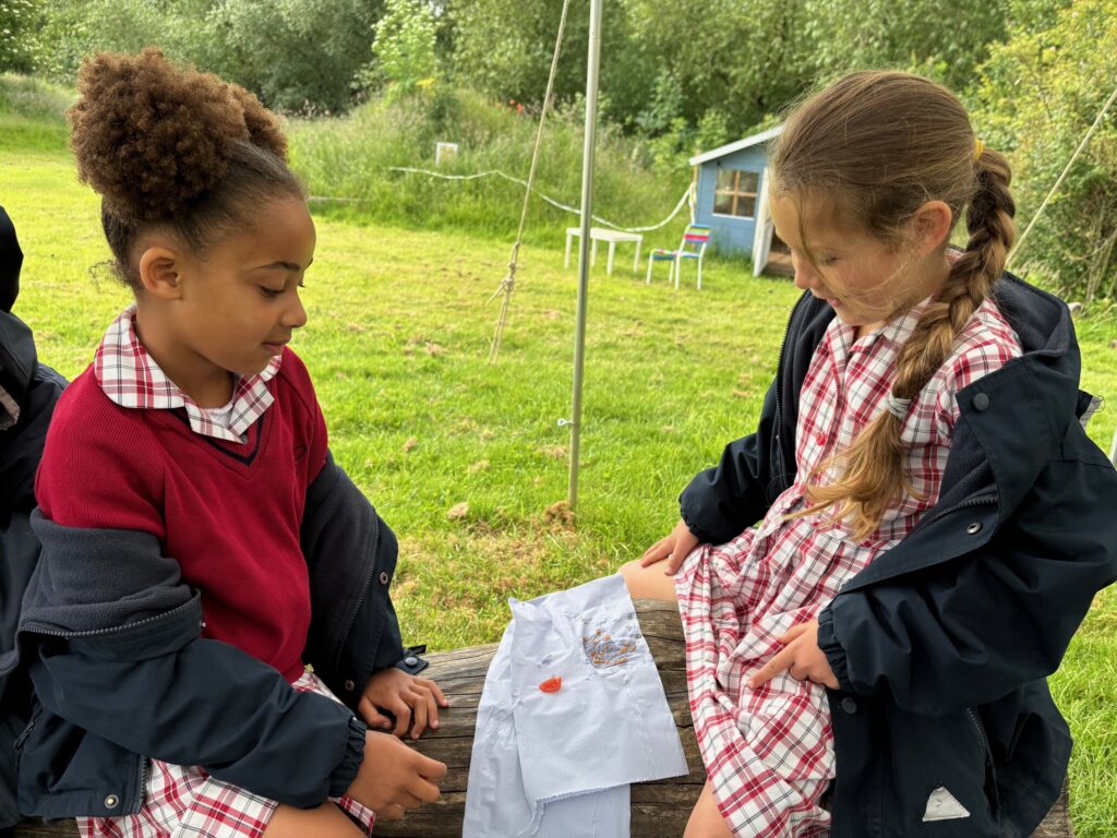 Tomato seeds&#8230;watch this space!, Copthill School