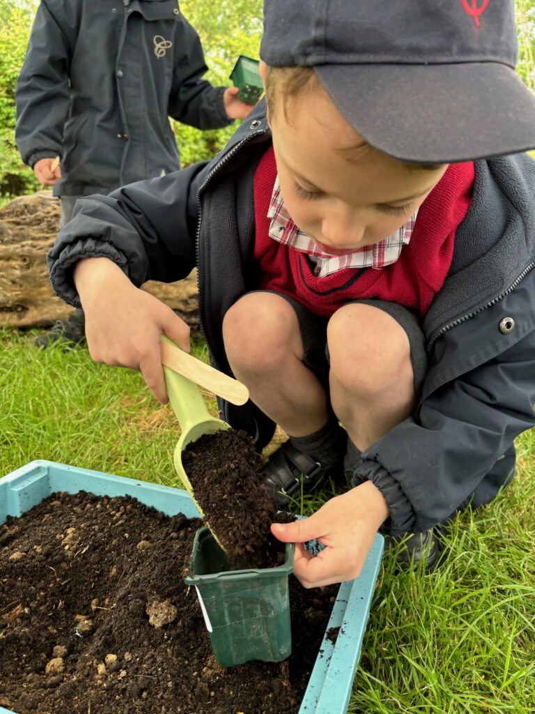 Tomato seeds&#8230;watch this space!, Copthill School