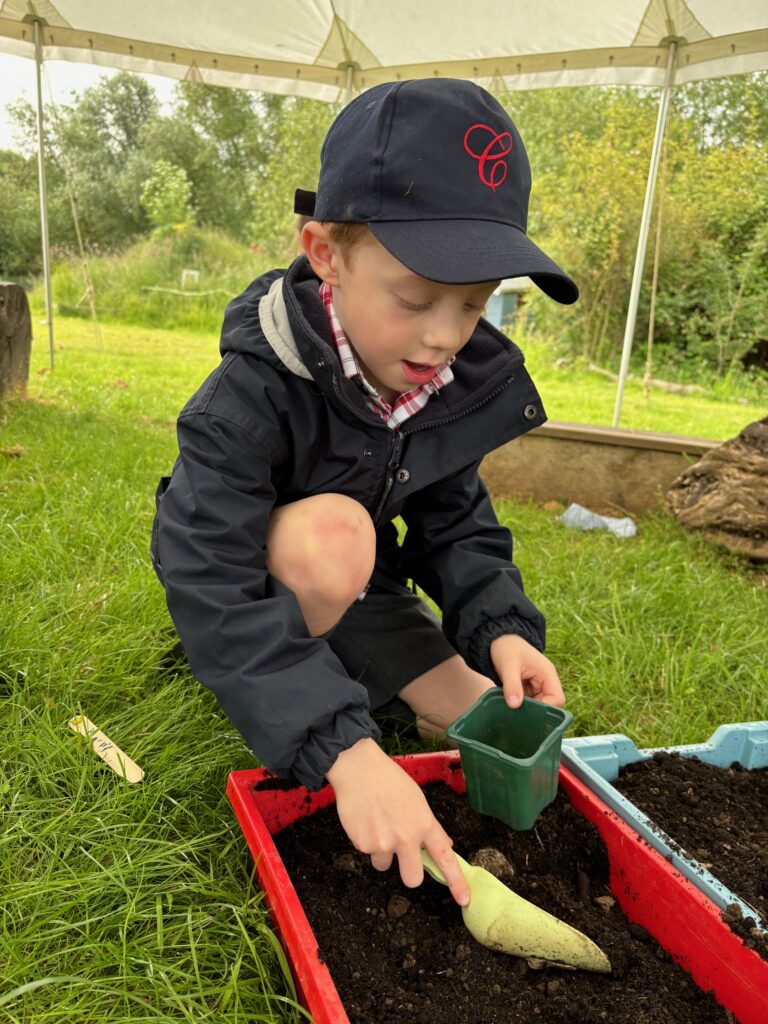 Tomato seeds&#8230;watch this space!, Copthill School