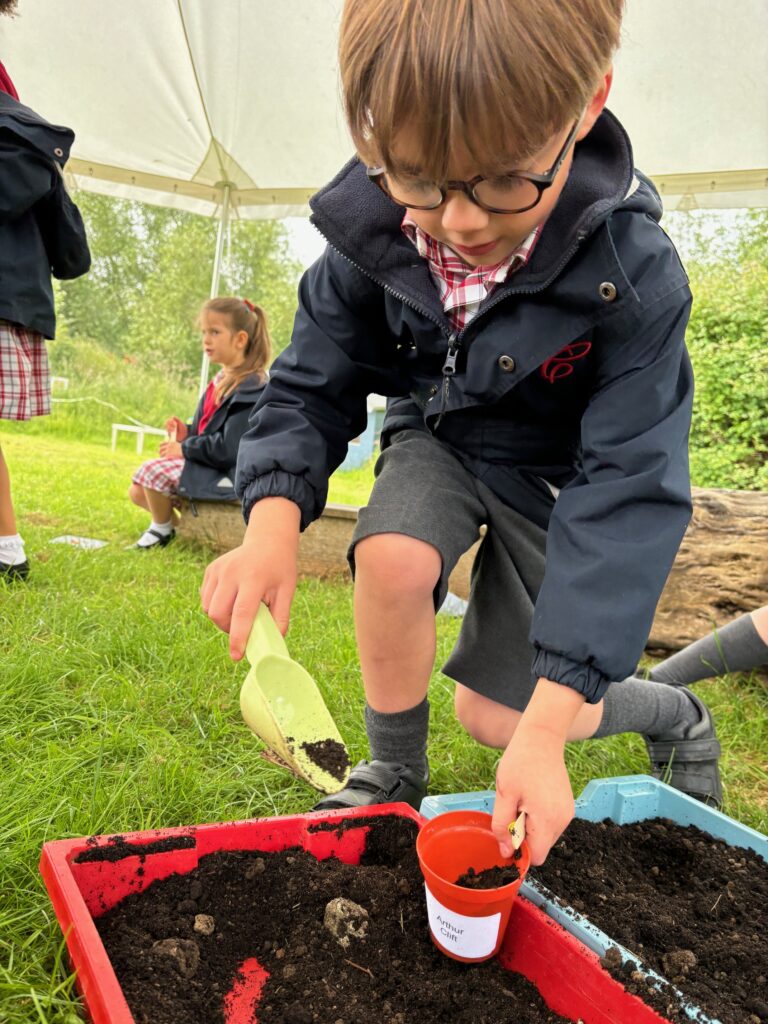 Tomato seeds&#8230;watch this space!, Copthill School